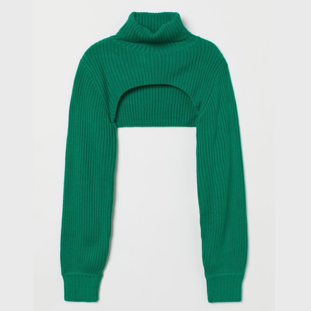 NWT Green Cropped Ribbed Knit Turtleneck Sweater | H&M - Picture 1 of 15
